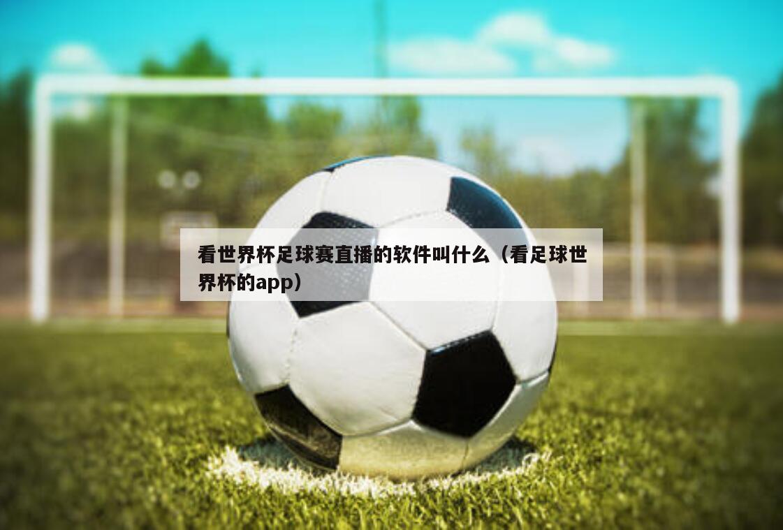 看世界杯足球赛直播的软件叫什么（看足球世界杯的app）